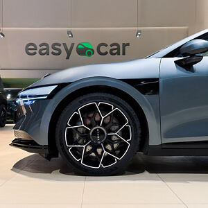 AWD Performance 100 kWh